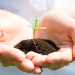 【新人入店】28歳の未婚女性です