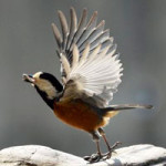 あなたが稼げる具体的な方法を教えます！