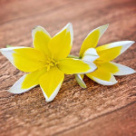 ★明日も面接★　50代の女性です