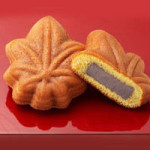 今日の面接は広島県